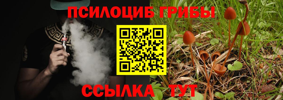 Галлюциногенные грибы Psilocybe  Вход с VPN  Красноярск 